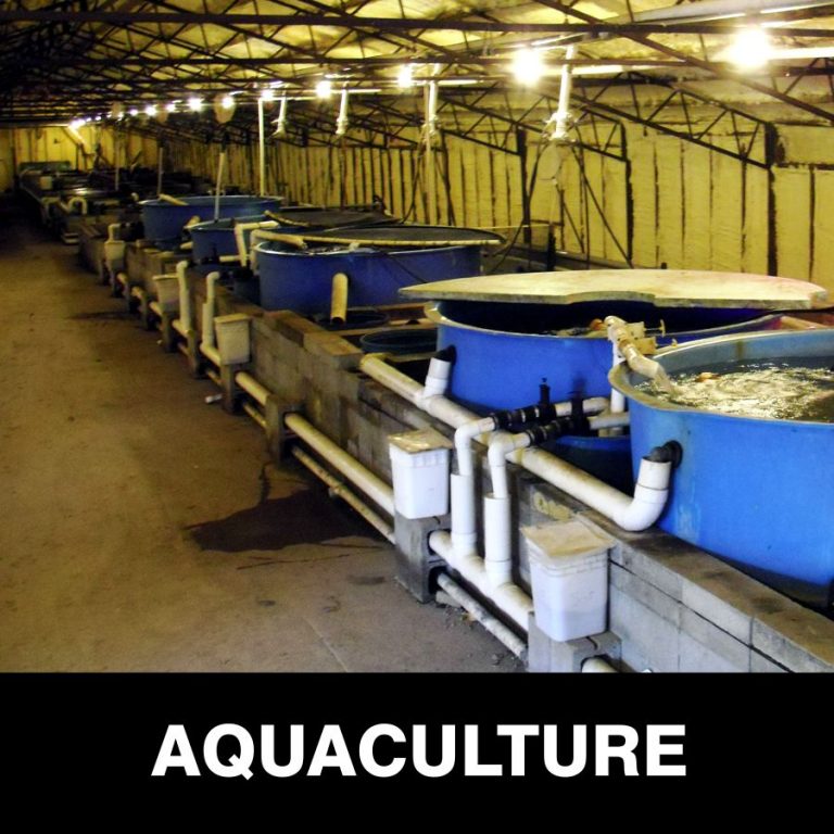Aquaculture Freshwater Farms of Ohio