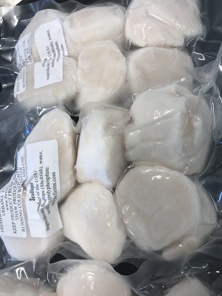 Premium Dry Scallops U10 (15 oz package) Freshwater Farms of Ohio