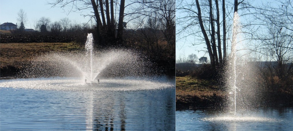 1 2hp Fountains Watersmith Systems