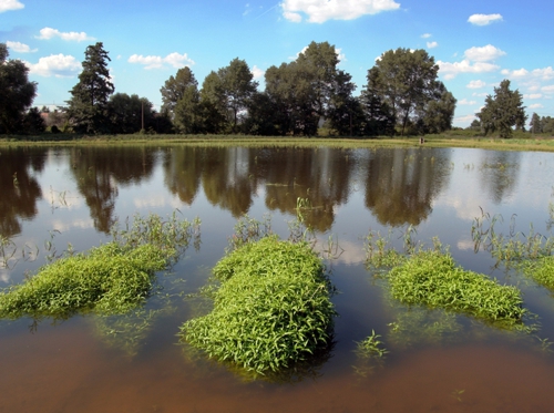 phd in water quality management